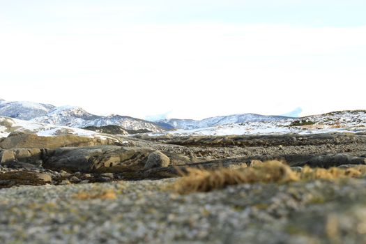Nature, Sea & Ocean, Water, beach, foreshore