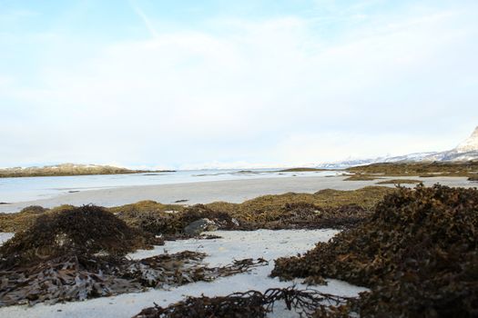Nature, Sea & Ocean, Water, beach, foreshore
