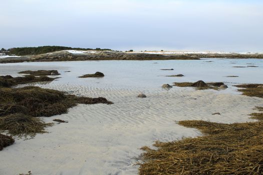 Nature, Sea & Ocean, Water, beach, foreshore