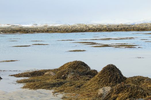 Nature, Sea & Ocean, Water, beach, foreshore
