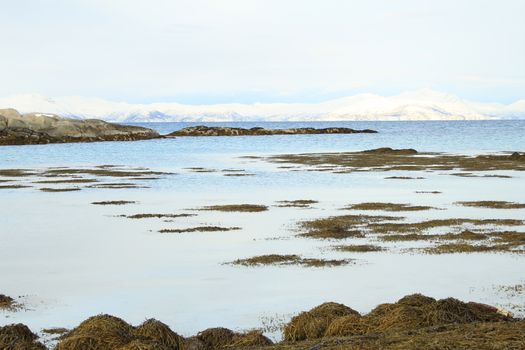 Nature, Sea & Ocean, Water, beach, foreshore