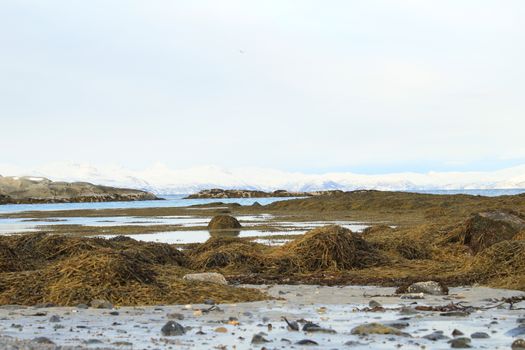 Nature, Sea & Ocean, Water, beach, foreshore