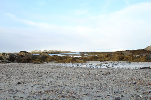 Nature, Sea & Ocean, Water, beach, foreshore