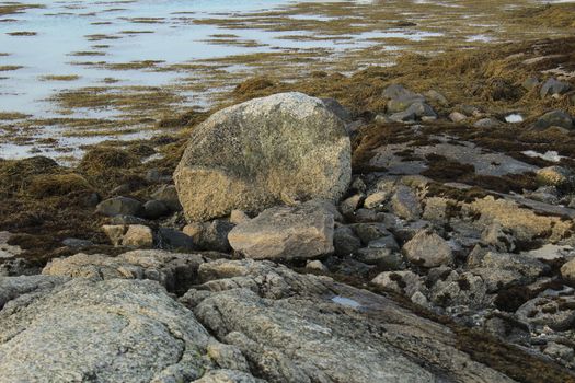 Nature, Sea & Ocean, Water, beach, foreshore