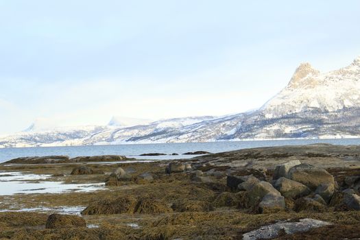 Nature, Sea & Ocean, Water, beach, foreshore