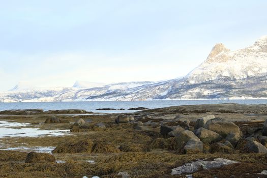 Nature, Sea & Ocean, Water, beach, foreshore