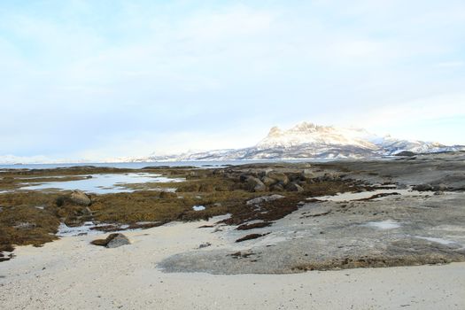 Nature, Sea & Ocean, Water, beach, foreshore