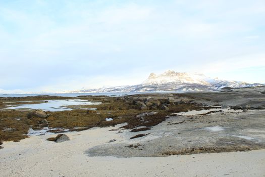 Nature, Sea & Ocean, Water, beach, foreshore