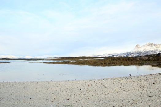 Nature, Sea & Ocean, Water, beach, foreshore