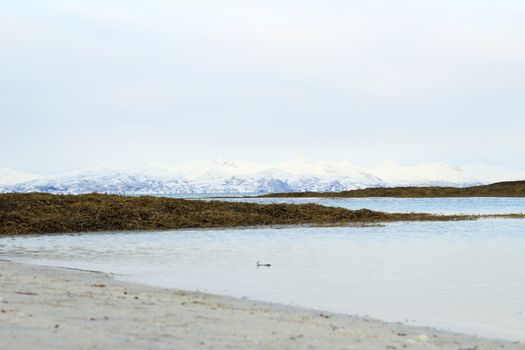 Nature, Sea & Ocean, Water, beach, foreshore