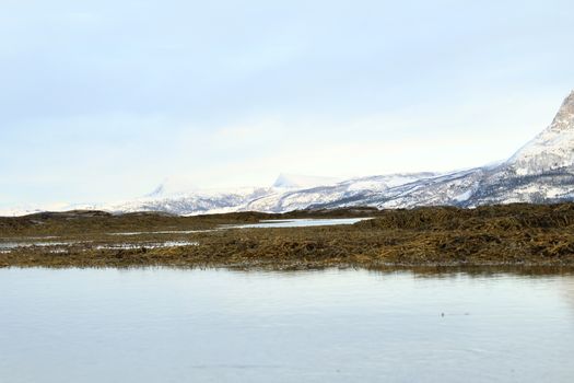 Nature, Sea & Ocean, Water, beach, foreshore