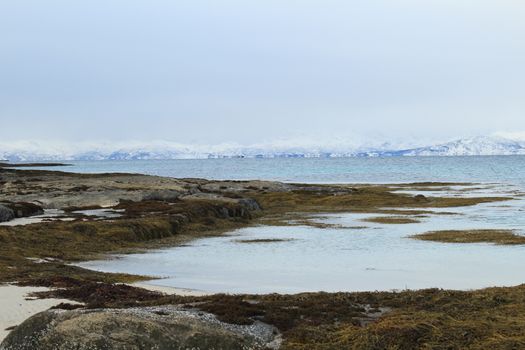 Nature, Sea & Ocean, Water, beach, foreshore