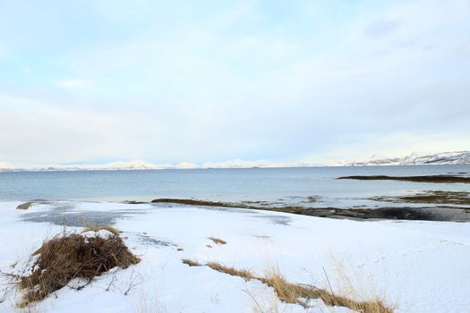 Nature, Sea & Ocean, Water, beach, foreshore