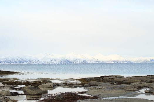 Nature, Sea & Ocean, Water, beach, foreshore