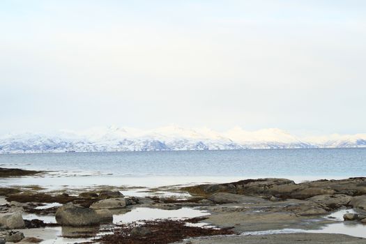 Nature, Sea & Ocean, Water, beach, foreshore