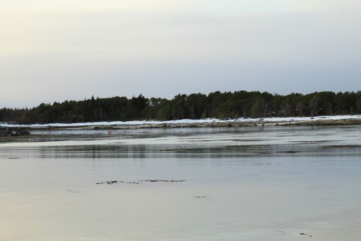 Nature, Sea & Ocean, Water, beach, foreshore