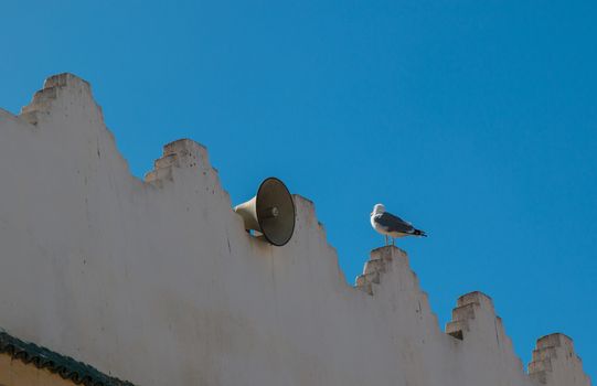 Edge of the building with traditional arabian architecture details. Amplifier and a seagull. Bright blue sky.