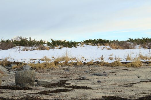 Nature, Sea & Ocean, Water, beach, foreshore