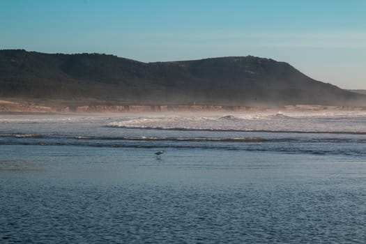 Waves of the Atlantic Ocean during the tide. White tops of the waves. Water bird in the ocean. Mountain in the background. Blue sky with some clouds.