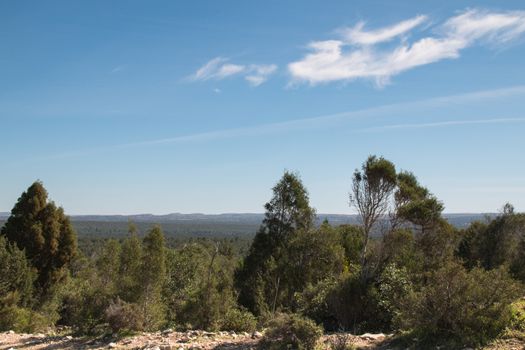 Green trees and big forest in the background. Blue sky with clouds.