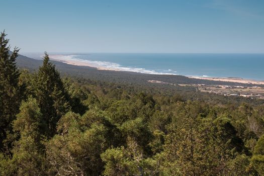 View from a hill on the forest lining the coast of the Atlantic Ocean. Ocean with white waves, horizon and blue sky in the background.