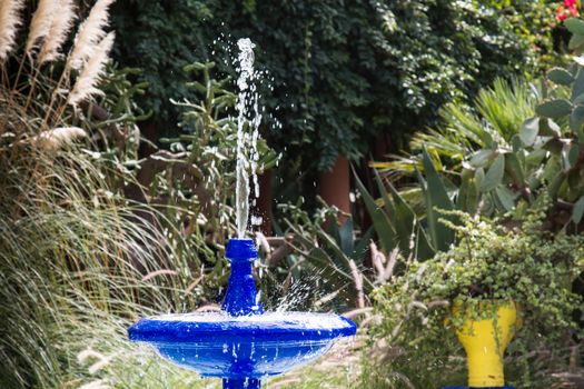 Typical bright blue color of the architecture in Jardin Majorelle, famous botanical garden in Marrakesh. Fountain in the middle of the plants.