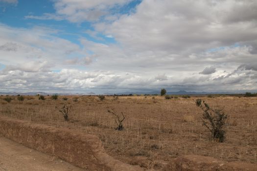 Field in the autumn. Just several bushes and trees Mountains in the background. Intense cloudy sky.