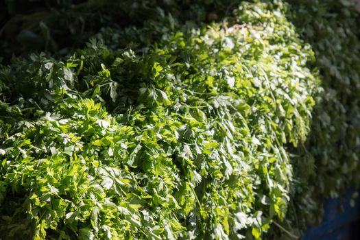 Pile of fresh green parsley on a market stall, full of sunlight.