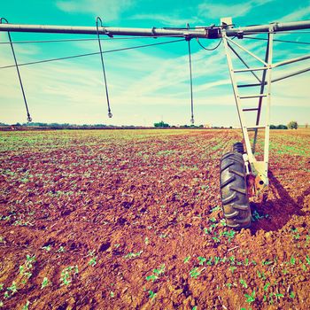 Sprinkler Irrigation on a  Field in Spain, Instagram Effect