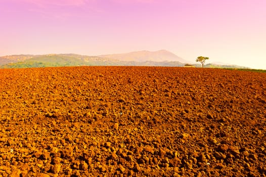 Misty Morning over Plowed Fields in Italy