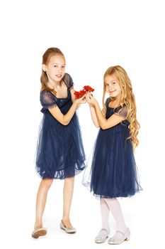 Two charming little girls in a blue dresses with flowers