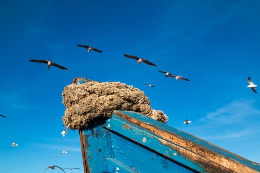 Detail of an old blue wooden fishing boat. Rope on the edge. Blue sky with light clouds in the background. Seagulls around the boat.