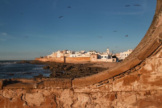 City view from the fortification of the city. Coast of the Atlantic ocean with the houses on the shore. Blue evening sky, many seagulls.