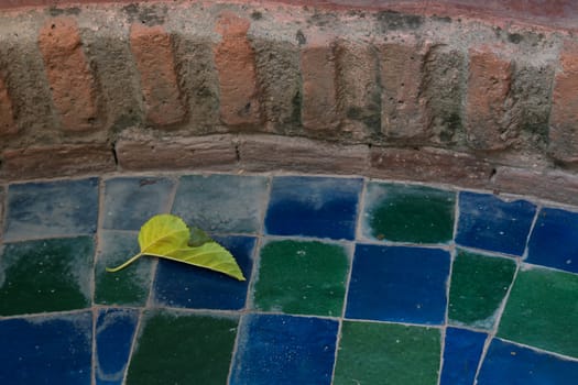 Leaf lying on a tiles in blue and green chess design. Bricks in the background.