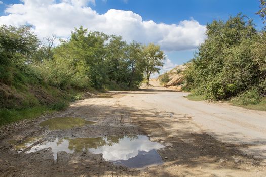 Country road after a rain. Reflection of the cloudy sky and trees in the paddle.