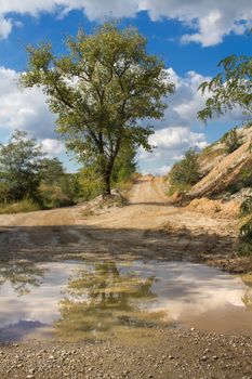 Country road after a rain. Reflection of the cloudy sky and trees in the paddle.