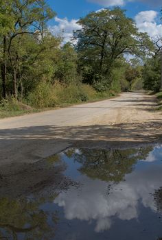 Country road after a rain. Reflection of the cloudy sky and trees in the paddle.