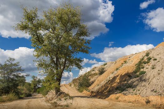 Country with a tree. Hill made of soil, stones and sand. Cloudy contrast sky. Two roads, one on the left, the other on the right side of a tree.