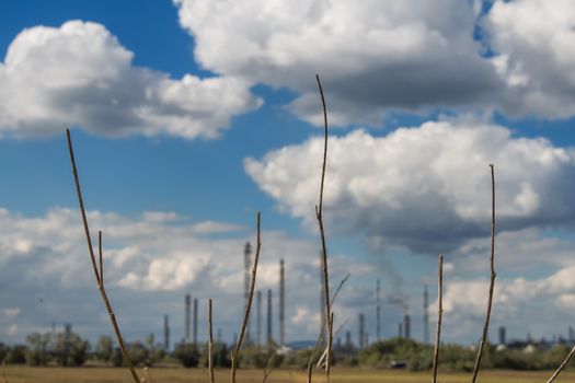 Dry branches of a bush, lining the chimneys of a factory in the background. Very cloudy sky.