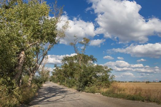 Road in the nature, surrounded by trees and fields. Cloudy contrast sky.