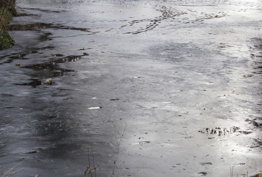 Detail of a surface of a frozen river, with a thing layer of the ice.