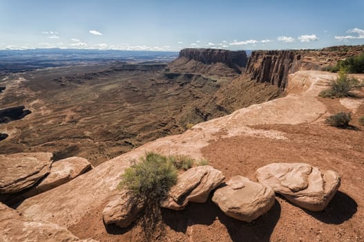 Landscape in Canyonlands National Park, Utah, USA