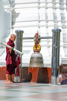 YANGON, MYANMAR - NOVEMBER 25, 2015 - Buddhist monk ringing the bell in the Shwedagon Pagoda on November 25, 2015 in Yangon. The Pagoda is the most famous buddhist temple in Myanmar.
