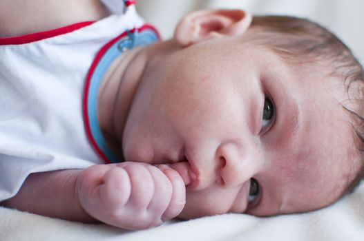 Portrait of the little baby sucks his fist