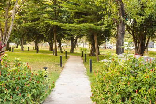 I took this photo on Thammasat University on 14 Febuary 2016. It's very beautiful, green gardening and peaceful.