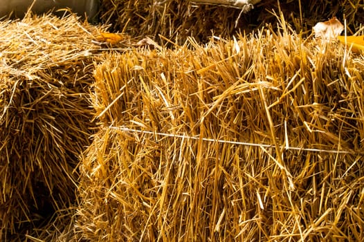hay, straw with snow lying on the ground