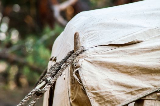 Green tent with tent camping, camping in the woods