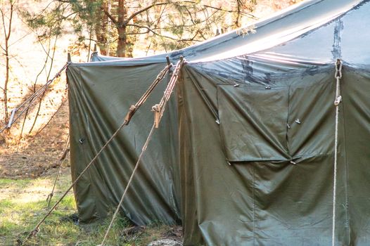 Green tent with tent camping, camping in the woods
