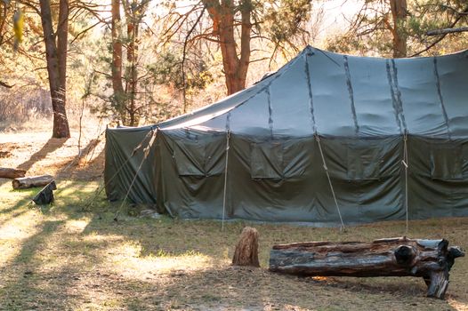 Green tent with tent camping, camping in the woods