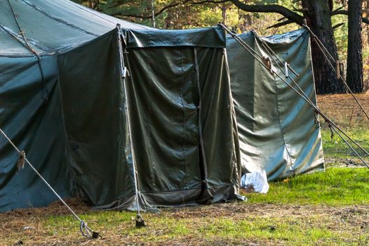 Green tent with tent camping, camping in the woods